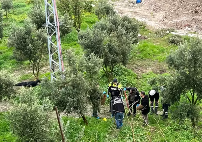 Hatay'da Bir Kişi Zeytin Bahçesinde ölü Bulundu 