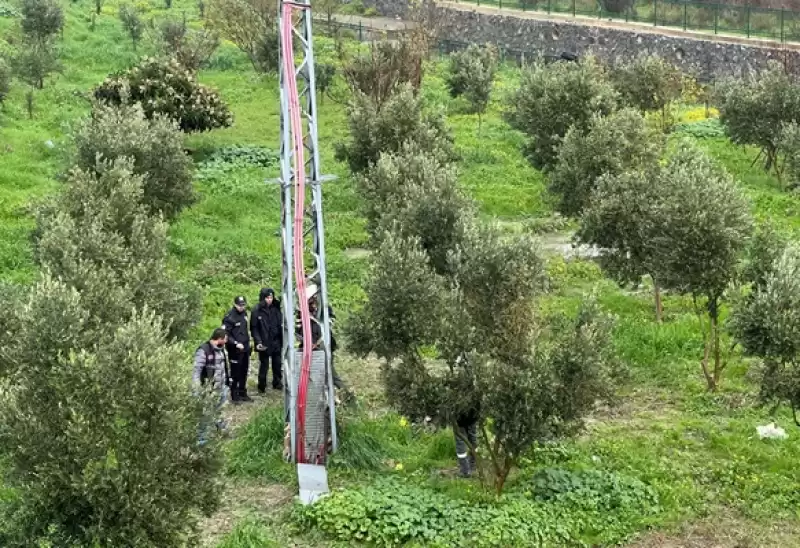 Hatay'da Bir Kişi Zeytin Bahçesinde ölü Bulundu 