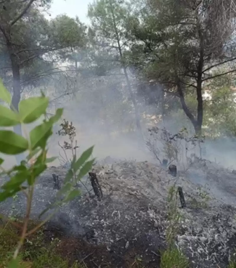 Yayladağı'nda çıkan Orman Yangını Söndürüldü