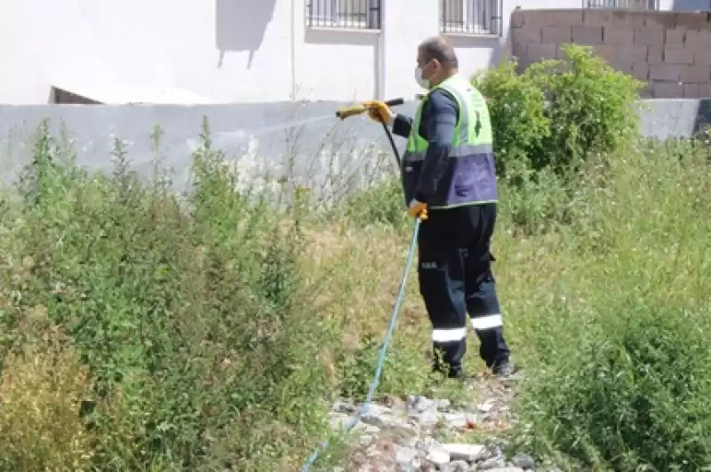 Büyükşehir Ekipleri Sinek Ve Haşere Ile Mücadeleye Devam Ediyor İskenderun’da 300 Nokta Ilaçlandı