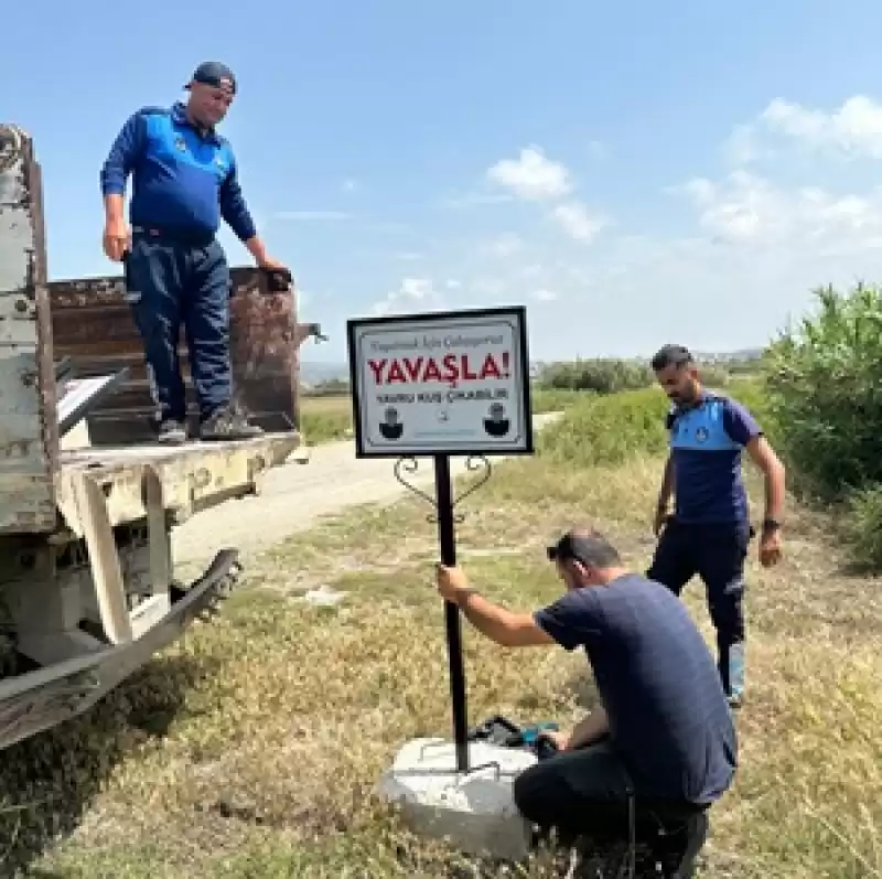 Samandağ Belediyesi, Milleyha Kuş Cenneti’nde Uyarıcı Levhalar Yerleştirdi 