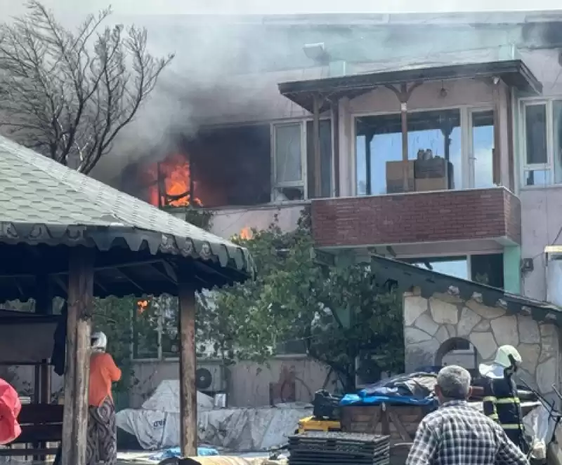 Hatay'da Zeytinyağı Fabrikasında çıkan Yangın Söndürüldü