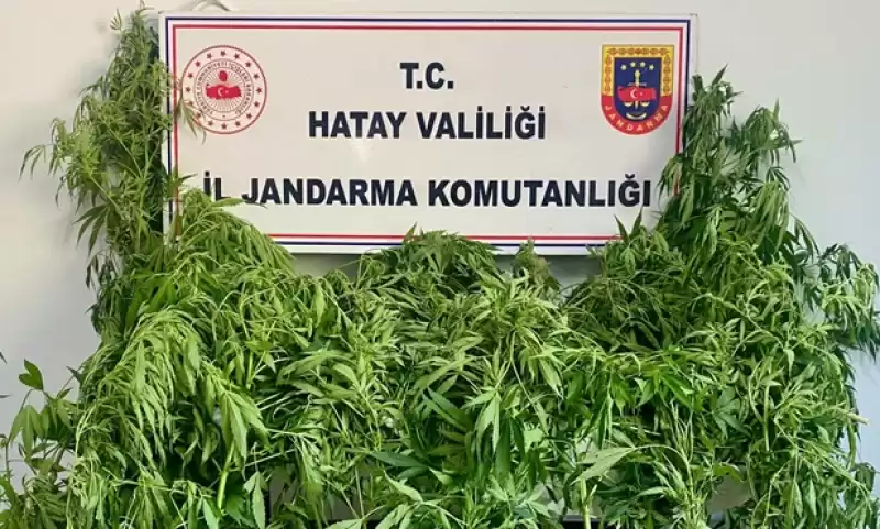 Hatay'da Uyuşturucu Ve Kaçakçılık Operasyonlarında 29 şüpheli Yakalandı