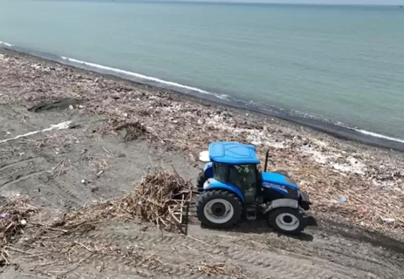 HBB’den Doğaya Yardım Eli Deniz Kaplumbağaları Koruma Altına Alındı