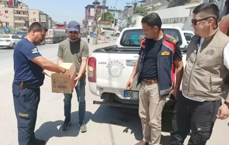 Hatay'da Havalandırma Borusunda Mahsur Kalan Baykuş Yavrusunu Itfaiye Kurtardı 