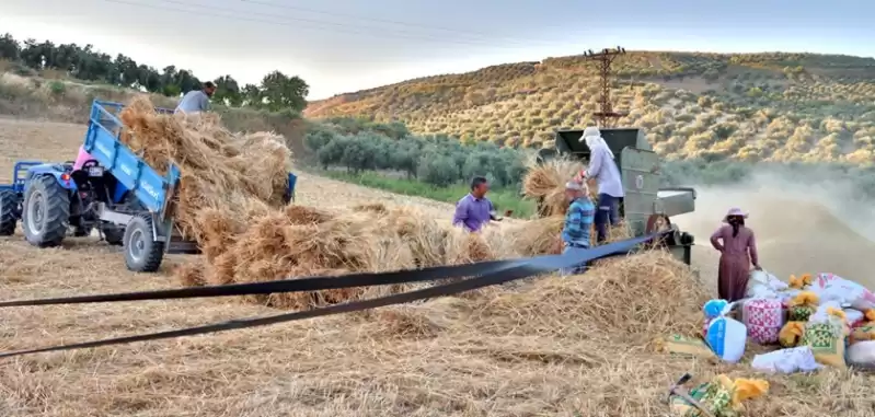 Patoz Sezonu Tüm Hızıyla Devam Ediyor