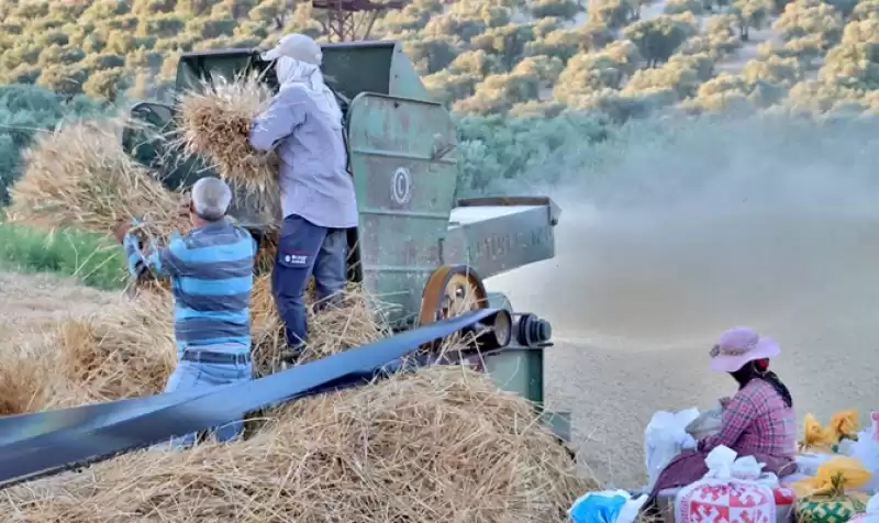 Patoz Sezonu Tüm Hızıyla Devam Ediyor