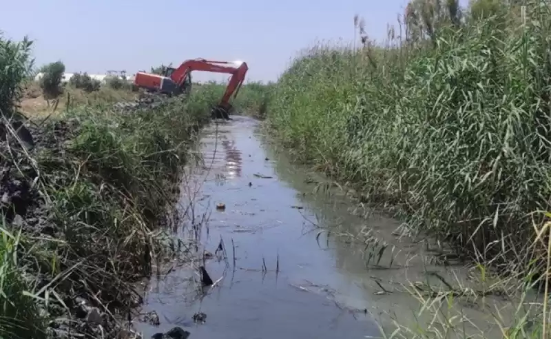 HBB İlaçlama çalışmalarına Paralel Dereleri Temizliyor