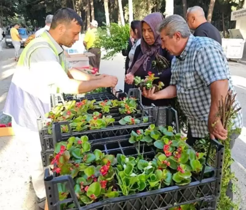 Mezarlık Içinde Ulaşım Golf Araçlarıyla Sağlandı