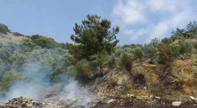 Hatay'da Otluk Ve Ağaçlık Alanda çıkan Yangın Söndürüldü