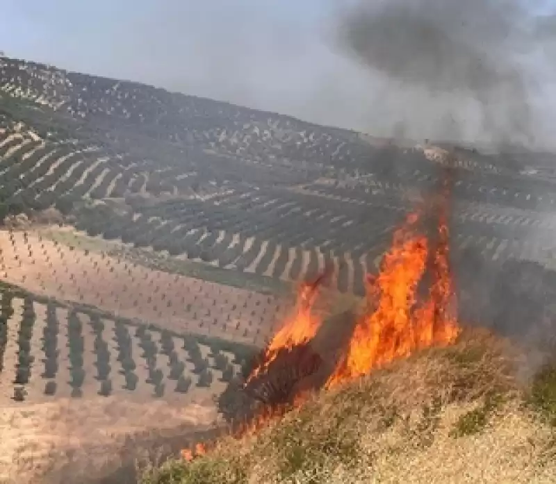 Hatay'da çıkan Yangınlar Söndürüldü