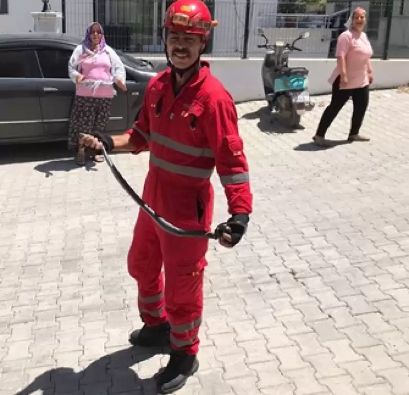 Hatay'da Apartmanın Bahçesine Giren Yılanı Itfaiye Ekibi çıkarttı