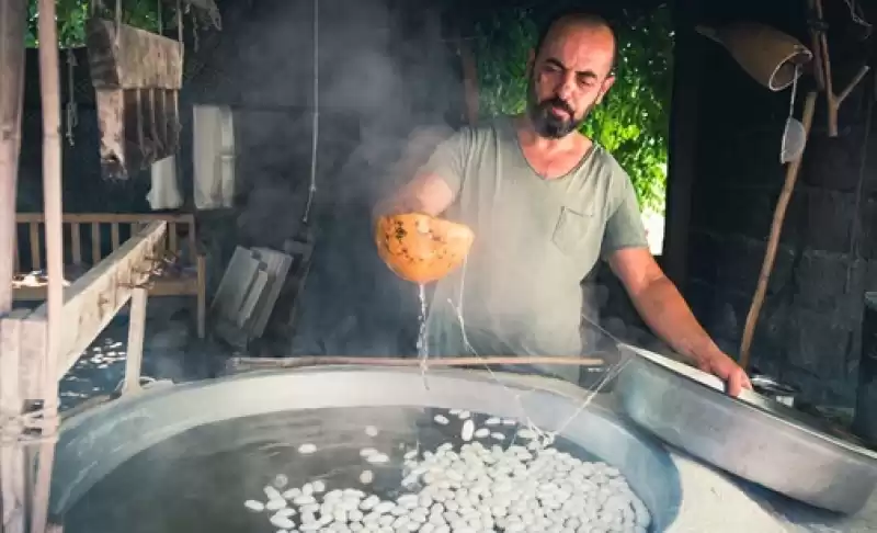 Hatay Defne’de Geleneksel Yöntemlerle Ipek Böcekçiliği Devam Ediyor