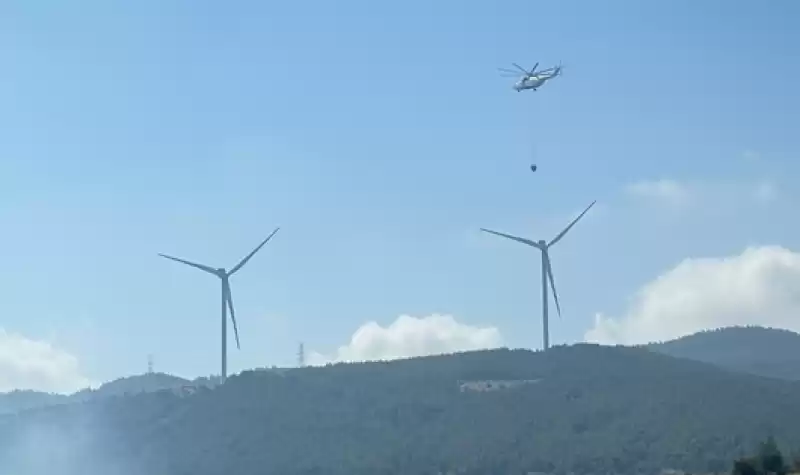 Belen'de çıkan Orman Yangını Kontrol Altına Alındı