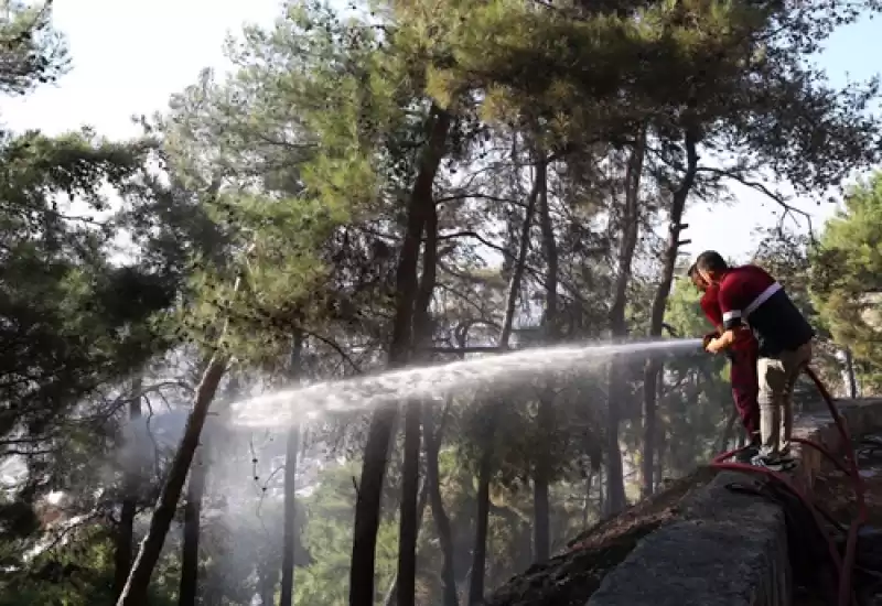 Antakya'da çıkan Orman Yangını Büyümeden Söndürüldü