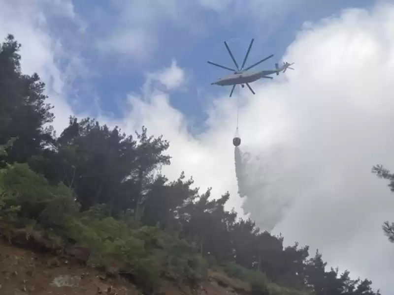 Hatay'da çıkan Orman Yangınına Müdahale Ediliyor