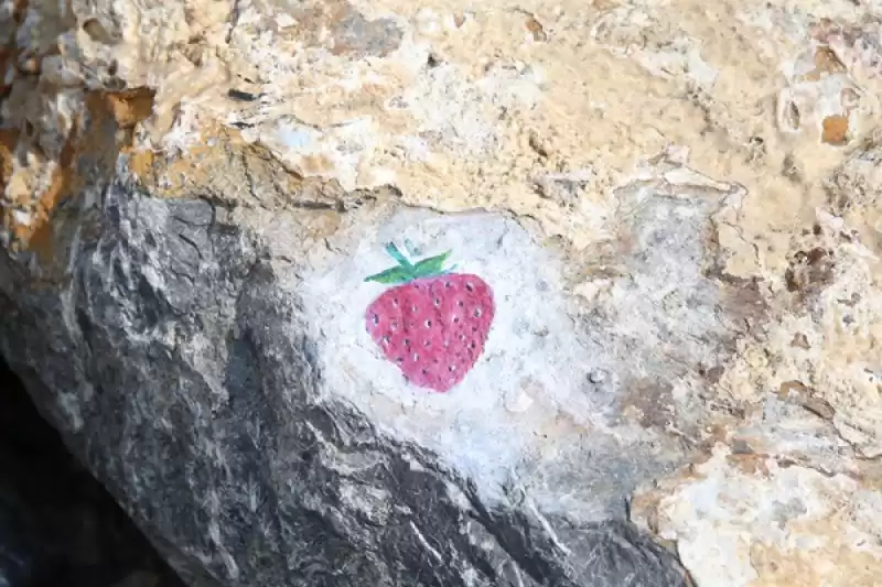 Hatay'da Depremzede Ressam Sahil Kenarındaki Kayaları Renklendiriyor 