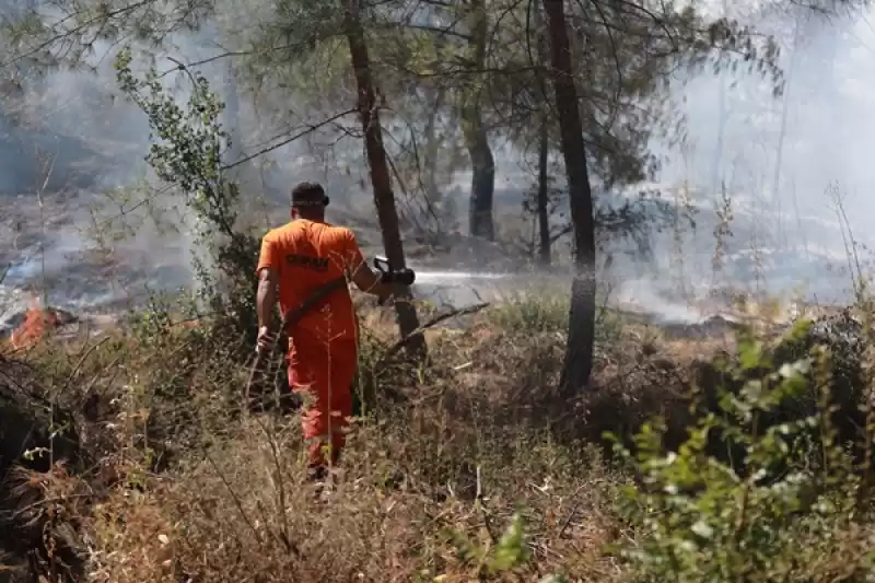 Hassa'da çıkan Orman Yangını Kontrol Altına Alındı