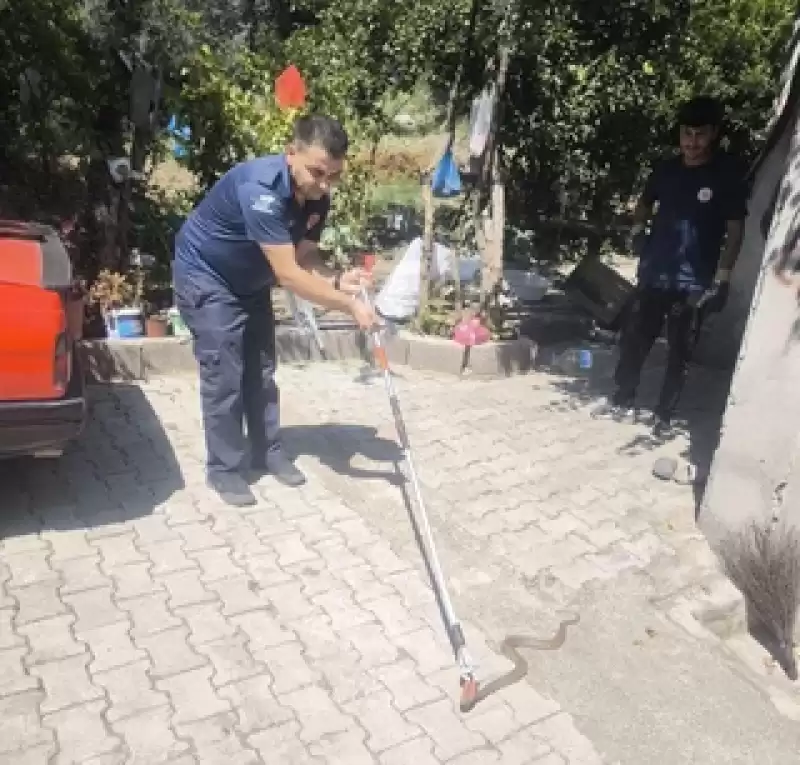 İskenderun'da Merdiven Boşluğuna Giren Yılanı Itfaiye Ekibi çıkarttı