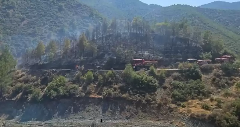 Antakya’da Orman Yangını!