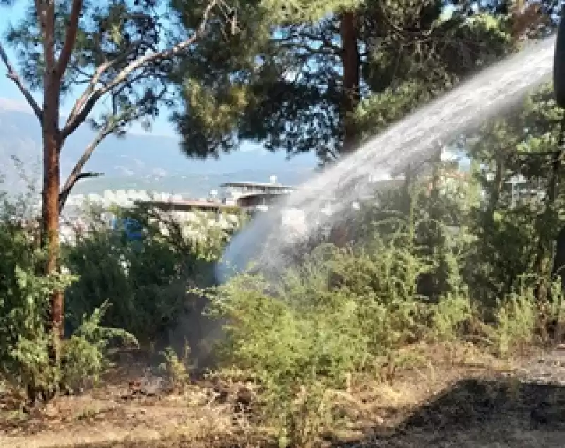 İskenderun'da çıkan Bahçe Yangını Söndürüldü