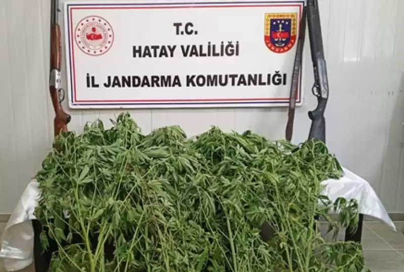 Hatay'da Uyuşturucu Ve Kaçakçılık Operasyonlarında 37 şüpheli Yakalandı