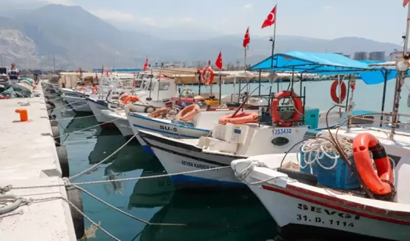 Hatay Valisi Mustafa Masatlı, İskenderun Balıkçı Barınağı'nda Incelemelerde Bulundu