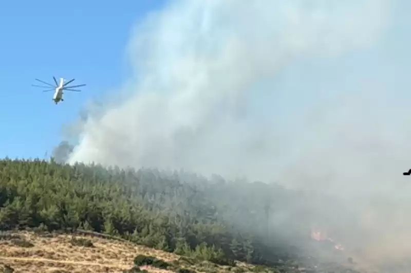 Hatay'da Orman Yangını çıktı