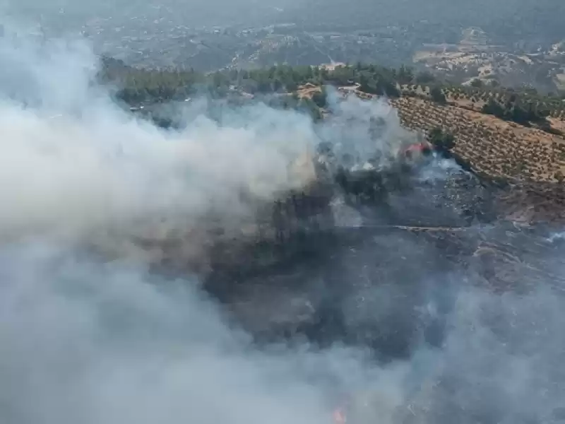 Hatay'da Orman Yangını çıktı