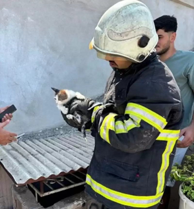 Hatay'da Havalandırma Boşluğuna Düşen Kedi Yavrusunu Itfaiye Kurtardı