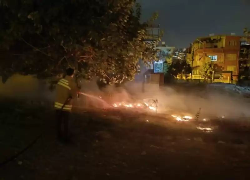 İskenderun'da Otluk Alanda çıkan Yangın Söndürüldü