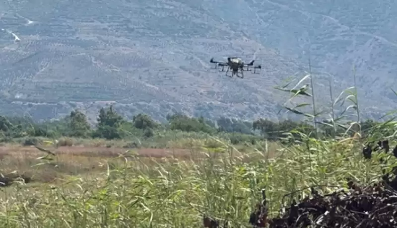 Samandağ'da Haşereyle Mücadele Kapsamında Dronla Ilaçlama Yapıldı