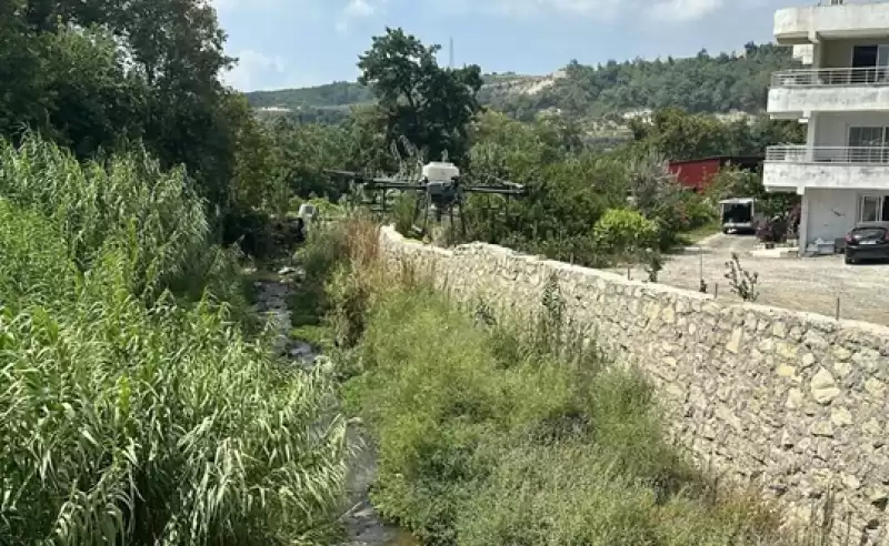 Samandağ'da Haşereyle Mücadele Kapsamında Dronla Ilaçlama Yapıldı