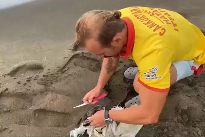 Hatay'da çuvala Dolanan Caretta Caretta Yavrusu Kurtarıldı