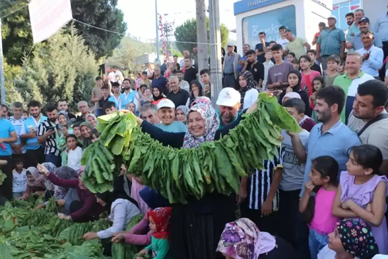 Hatay'da 22. Geleneksel Yayladağı Kültür Sanat Ve Aba Güreşi Festivali Başladı