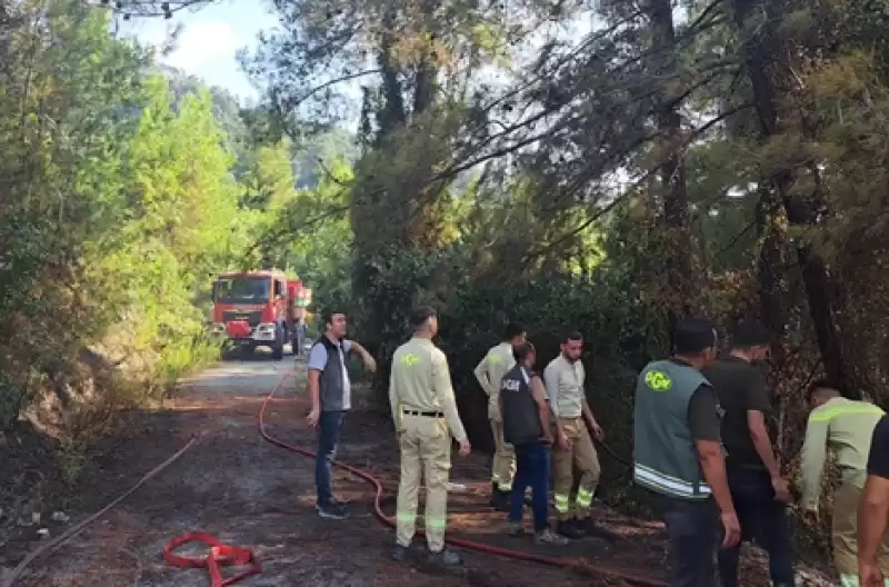 Dörtyol'da Ormanlık Alanda çıkan Yangın Söndürüldü