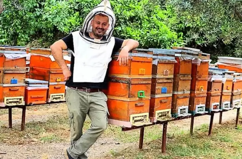 Arıcılar Propolis Hasadına Başladı