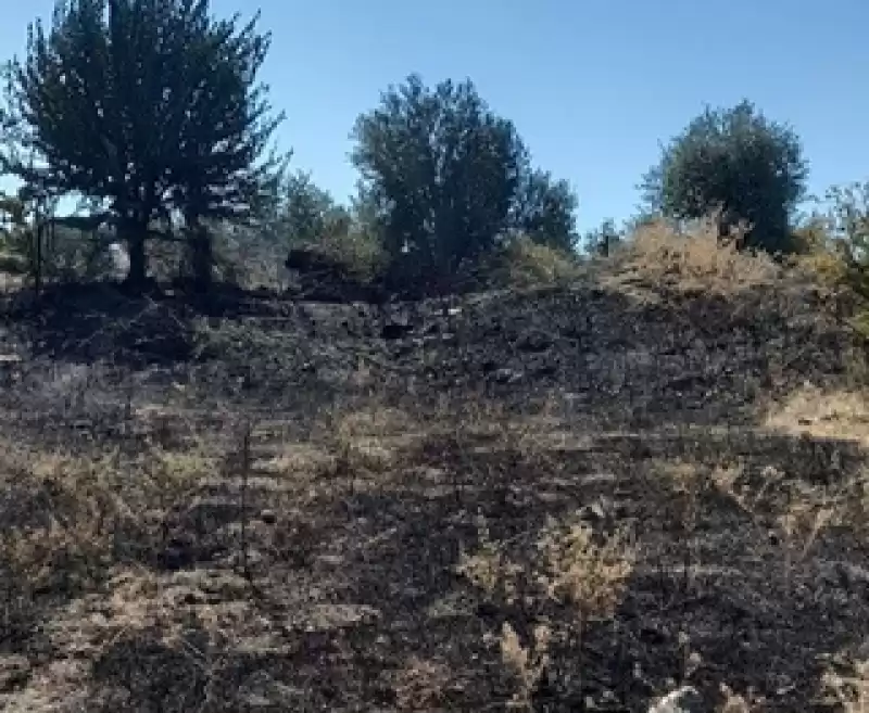 Hatay'da Anız Ve Otluk Alanda çıkan Yangınlar Söndürüldü