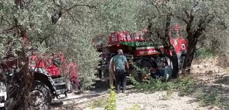 Altınözü'nde Zeytin Bahçesinde çıkan Yangın Söndürüldü