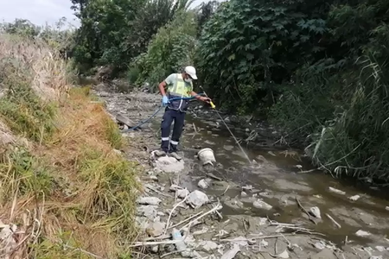 516 Bin Noktada Haşereyle Mücadele Dron Ile 401 Bin Hektar Ilaçlandı