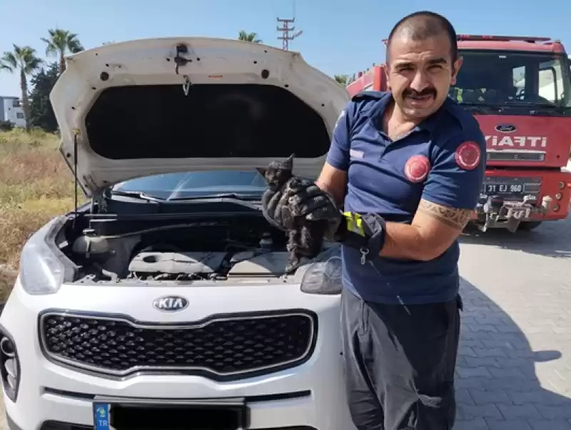 Hatay'da Cipin Motor Kısmına Sıkışan Kedi Yavrusunu Itfaiye Kurtardı