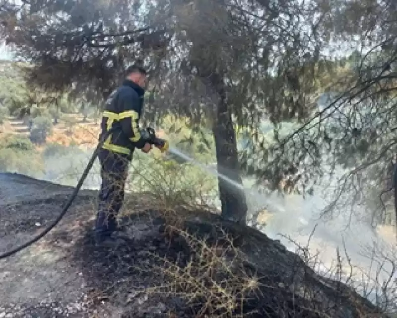 Hatay'da Ormanlık Ve Otluk Alanlarda çıkan Yangınlar Söndürüldü 