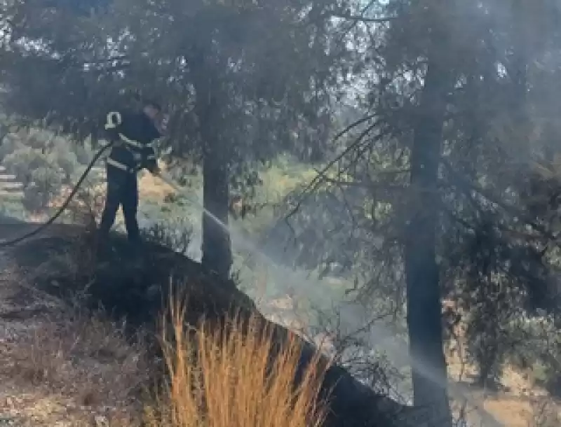 Hatay'da Ormanlık Ve Otluk Alanlarda çıkan Yangınlar Söndürüldü 