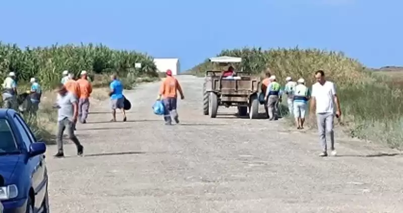 Hatay'daki Mileyha Sulak Alanı'nda Temizlik Yapıldı