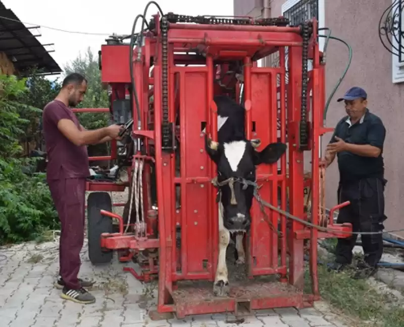 HBB Kırsal Kalkınmayı Destekliyor Sağlıklı Hayvan, Sağlıklı ürün Verir