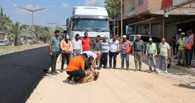 Beton Asfalta Kavuşan Aktepe Muhtarı Kurban Kesti