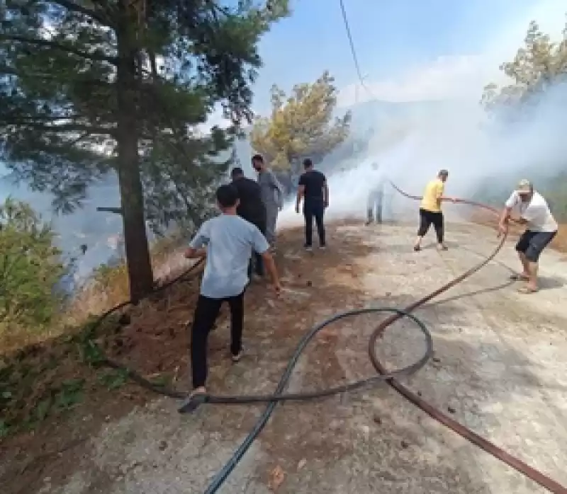 Antakya Karlısu’da çıkan Orman Yangını Söndürüldü