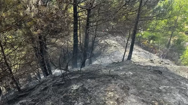 Antakya Karlısu’da çıkan Orman Yangını Söndürüldü