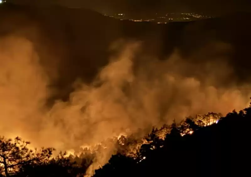 Hatay'da Ormanlık Alandaki Yangına Müdahale Ediliyor