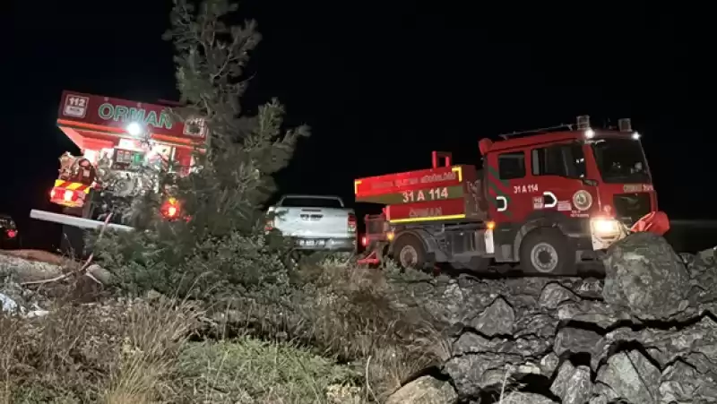 Hatay'da Ormanlık Alandaki Yangına Müdahale Ediliyor